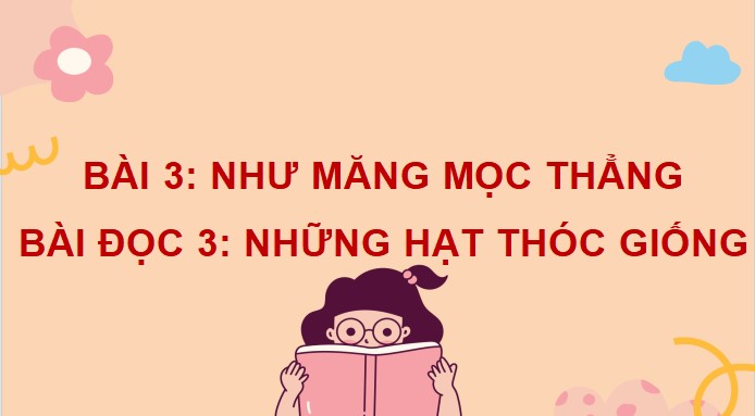 PowerPoint Những hạt thóc giống
