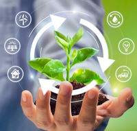 Giáo án Sinh hoạt lớp 6 Phát triển bền vững tuần 29