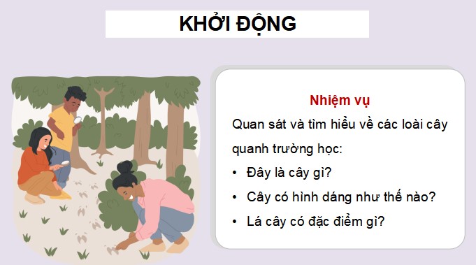 PowerPoint Góc sáng tạo: Quan sát vườn cây