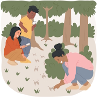 PowerPoint Tiếng Việt 4 Bài 3: Quan sát vườn cây