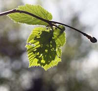 Giáo án Sinh hoạt lớp 6 Em với cộng đồng tuần 22