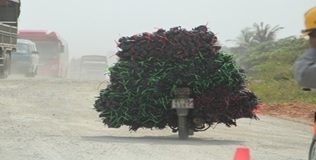 Đáp án cuộc thi Vì an toàn giao thông thủ đô THPT