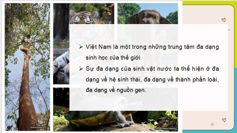 PowerPoint Địa lí 8 Cánh diều Bài 10