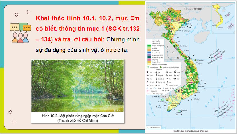 PowerPoint Địa lí 8 Cánh diều Bài 10
