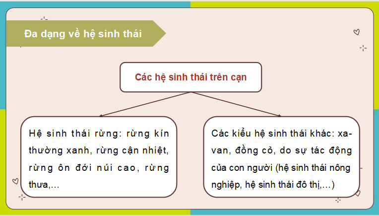 PowerPoint Địa lí 8 Cánh diều Bài 10