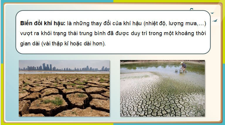 PowerPoint Địa lí 8 Cánh diều Bài 8