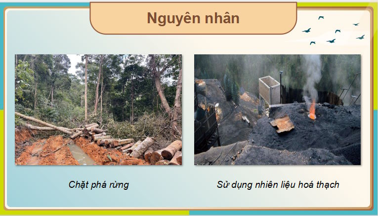 PowerPoint Địa lí 8 Cánh diều Bài 8