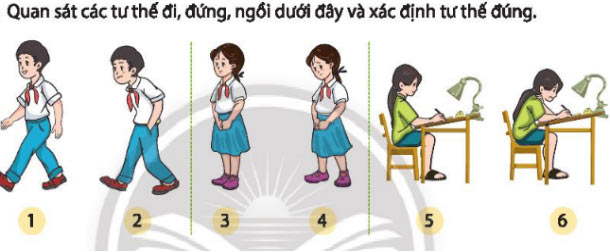 Hoạt động trải nghiệm 6 Chân trời sáng tạo