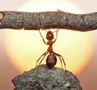 Giáo án Sinh hoạt lớp 7 Rèn luyện bản thân tuần 15