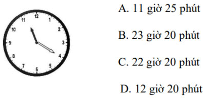 Đề thi giữa kì 1 Toán lớp 3 Chân trời sáng tạo