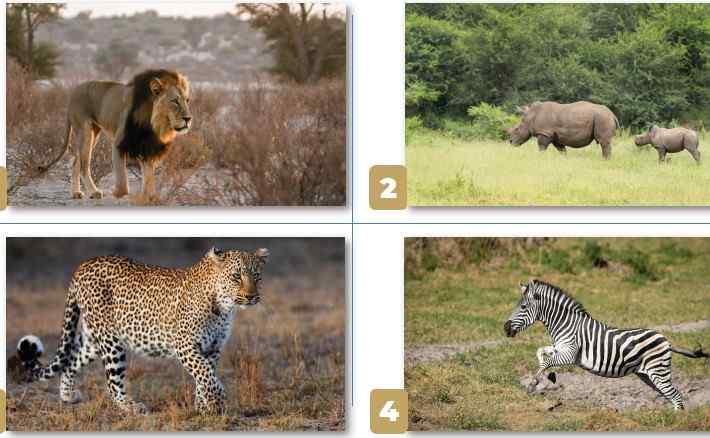 mi thuat 5 CTST chu de 2 bai 3 4*476873