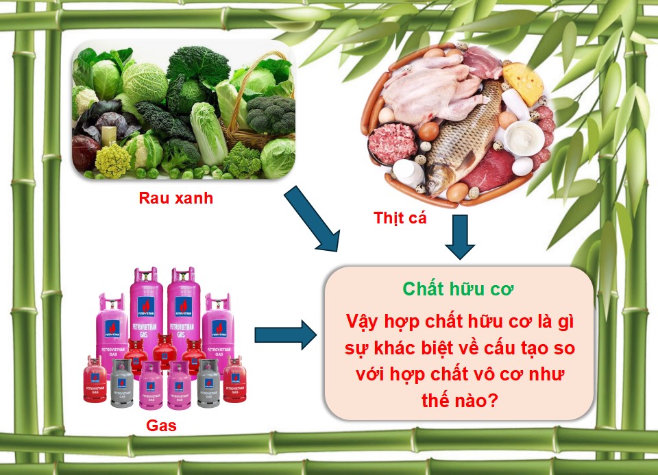 Bài giảng PowerPoint KHTN 9 Kết nối tri thức Bài 22