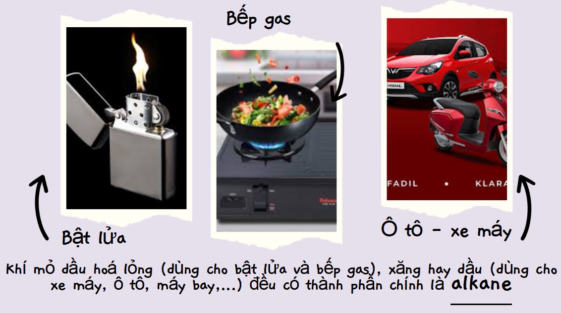 Bài giảng PowerPoint KHTN 9 Kết nối tri thức Bài 23