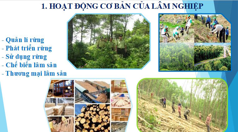 Giáo án PowerPoint Công nghệ 12 Bài 2