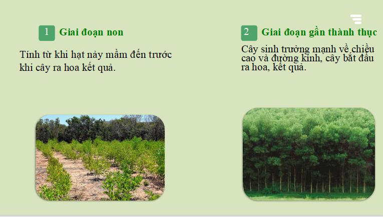 Giáo án PowerPoint Công nghệ 12 Bài 4