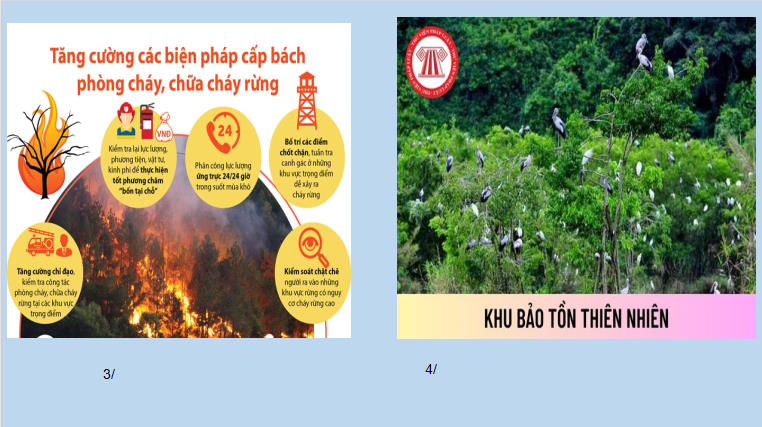 Giáo án PowerPoint Công nghệ 12 Bài 8