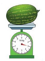 Đề ôn thi giữa học kì 1 Toán lớp 2