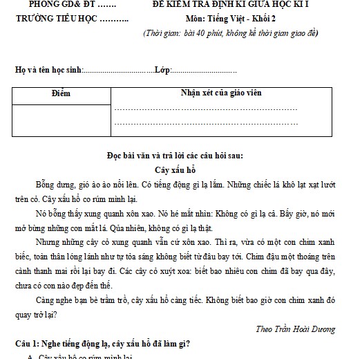 de thi giua ki 1 tieng viet lop 2 canh dieu 2*477282