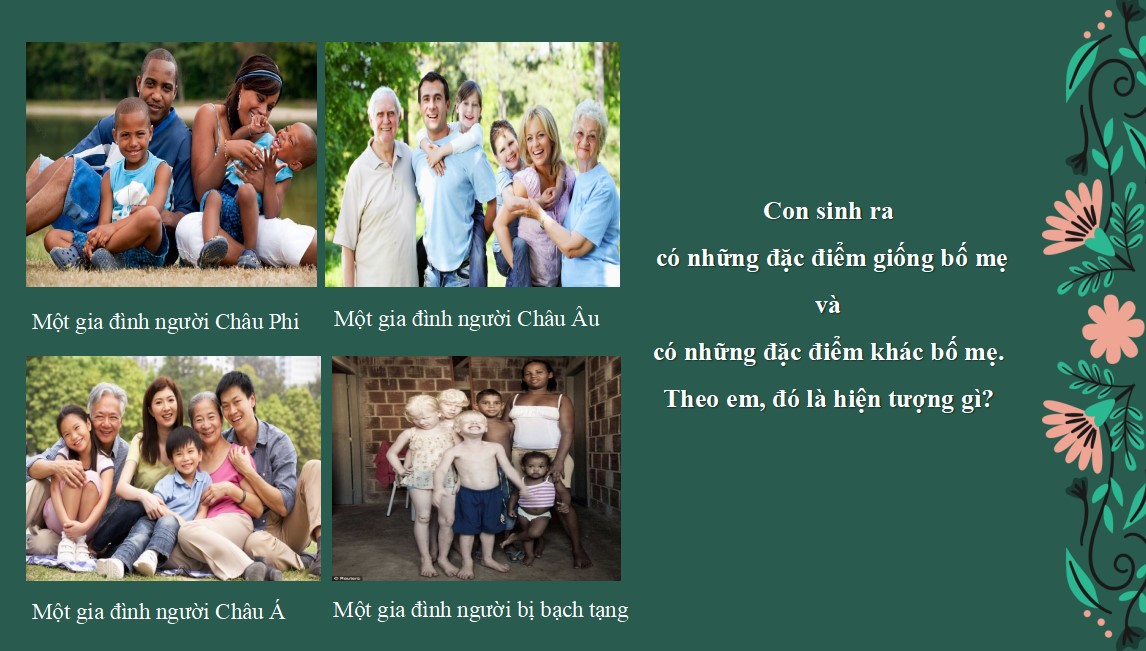 Bài giảng PowerPoint KHTN 9 Kết nối tri thức Bài 36