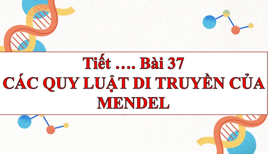 Bài giảng PowerPoint KHTN 9 Kết nối tri thức Bài 37