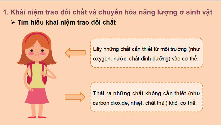 Giáo án PowerPoint KHTN 7 Bài 22