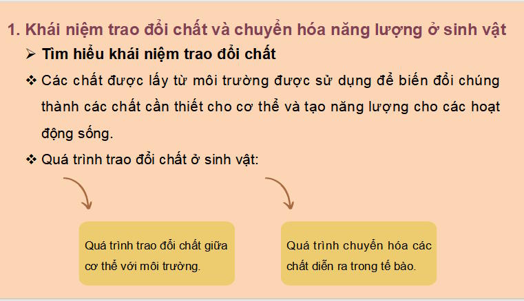 Giáo án PowerPoint KHTN 7 Bài 22