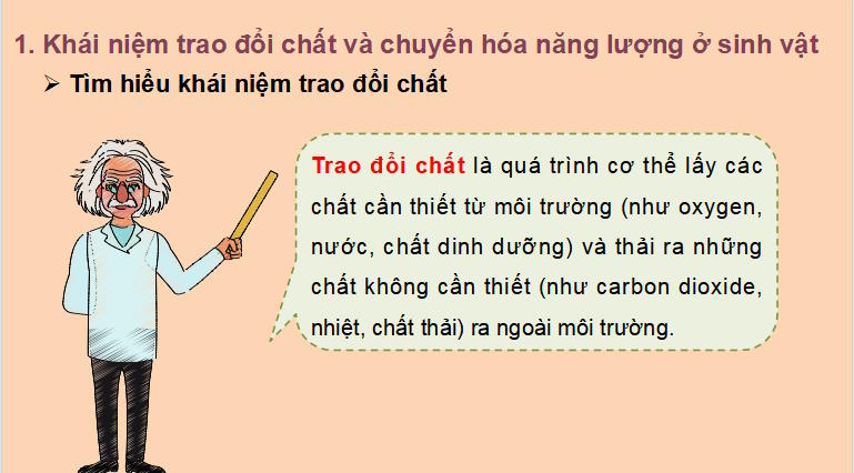 Giáo án PowerPoint KHTN 7 Bài 22