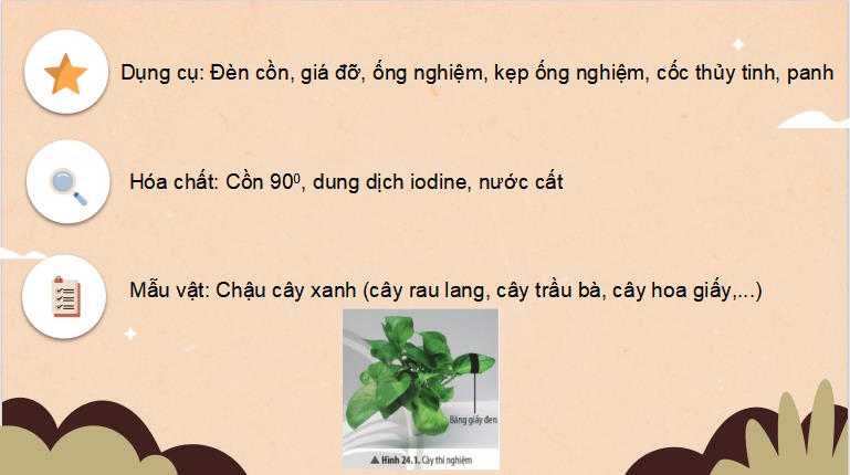 Giáo án PowerPoint KHTN 7 Bài 24