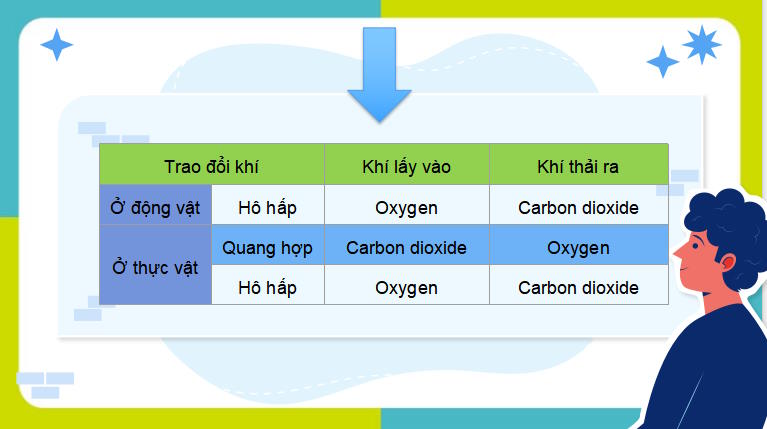 Giáo án PowerPoint KHTN 7 Bài 27
