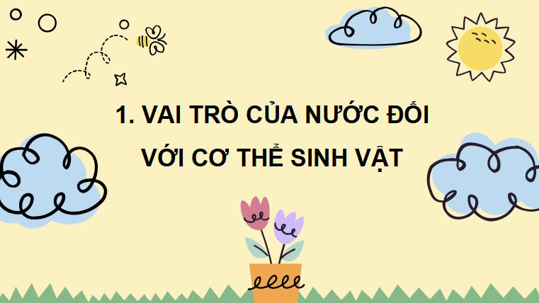 Giáo án PowerPoint KHTN 7 Bài 28