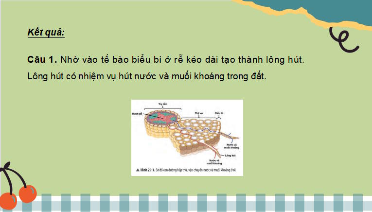 Giáo án PowerPoint KHTN 7 Bài 29