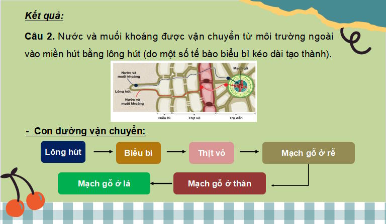 Giáo án PowerPoint KHTN 7 Bài 29