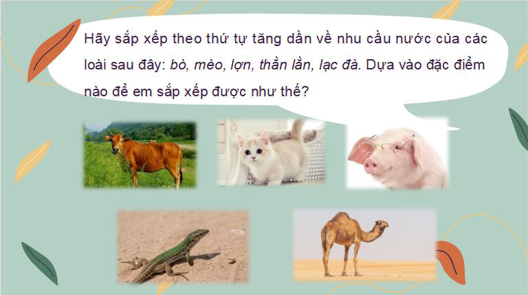 Giáo án PowerPoint KHTN 7 Bài 30