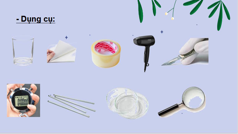 Giáo án PowerPoint KHTN 7 Bài 31