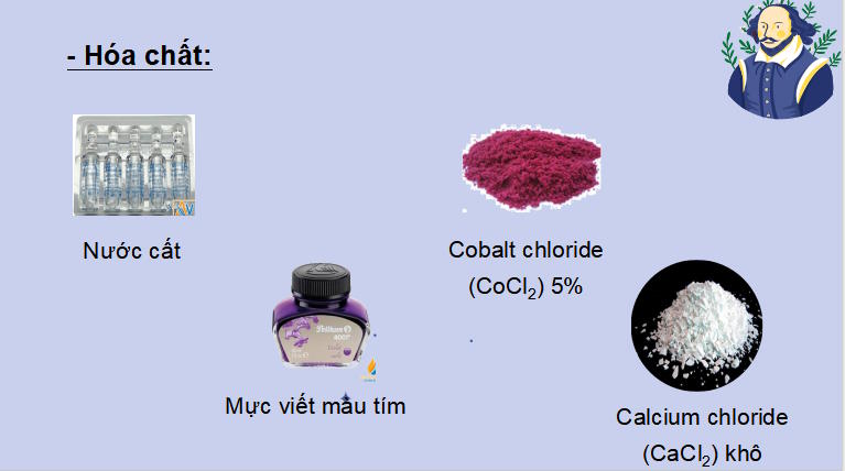 Giáo án PowerPoint KHTN 7 Bài 31