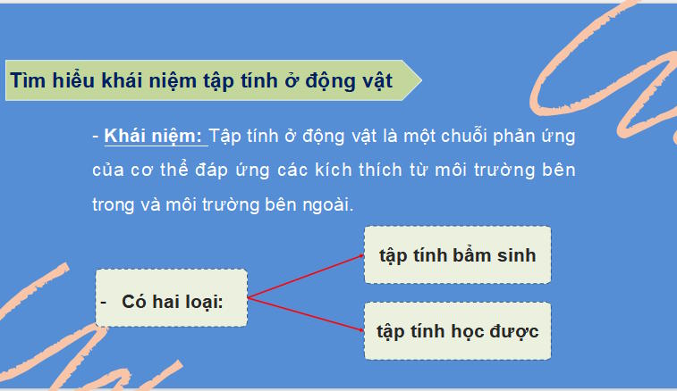 Giáo án PowerPoint KHTN 7 Bài 33