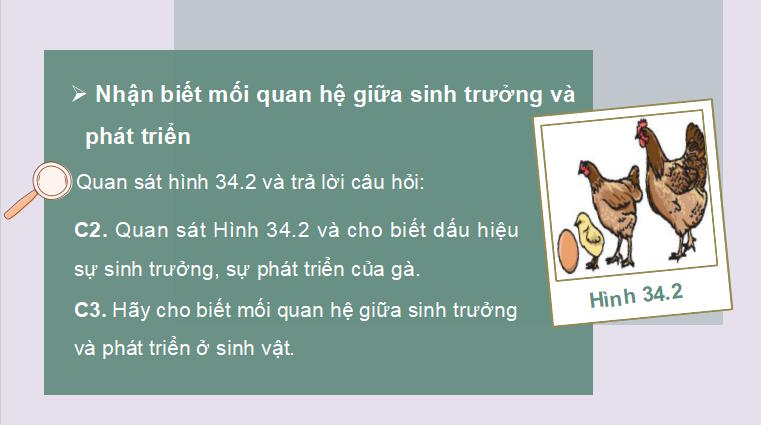 Giáo án PowerPoint KHTN 7 Bài 34