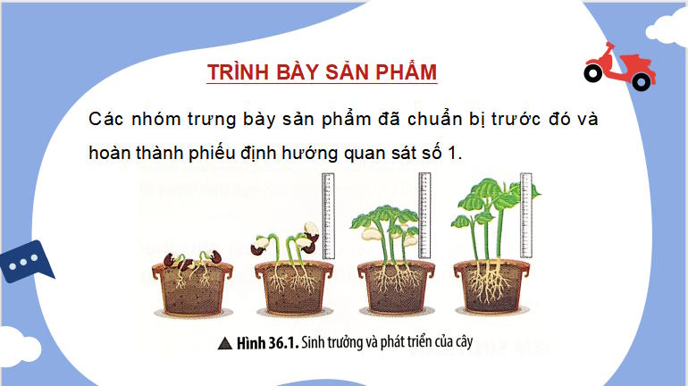 Giáo án PowerPoint KHTN 7 Bài 36
