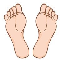 Đề thi giữa kì 1 Tiếng Anh lớp 2 Cánh Diều