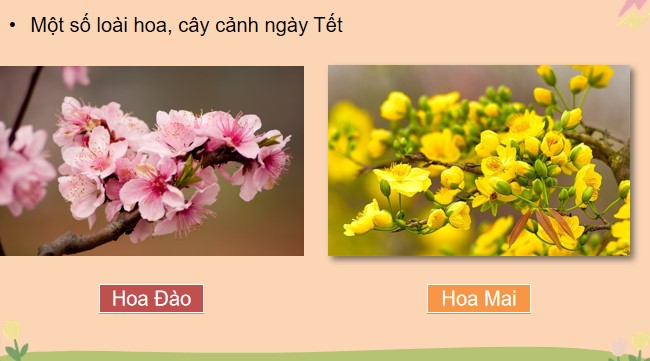 powerpoint cong nghe 4 canh dieu hoc ki 1 3*478579