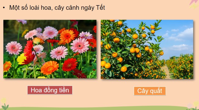 powerpoint cong nghe 4 canh dieu hoc ki 1 4*478580