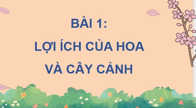 powerpoint cong nghe 4 canh dieu hoc ki 1 5*478584