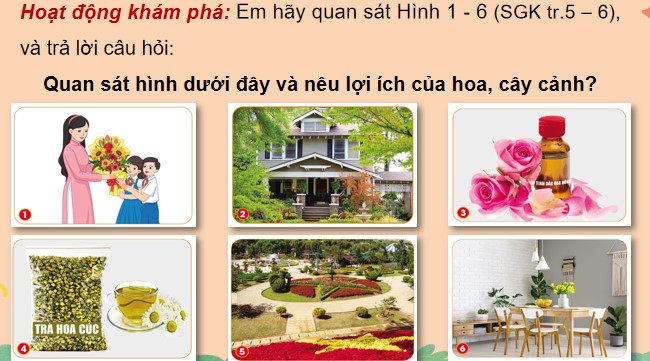 powerpoint cong nghe 4 canh dieu hoc ki 1 8*478585