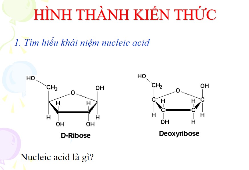 Bài giảng PowerPoint KHTN 9 Kết nối tri thức Bài 38