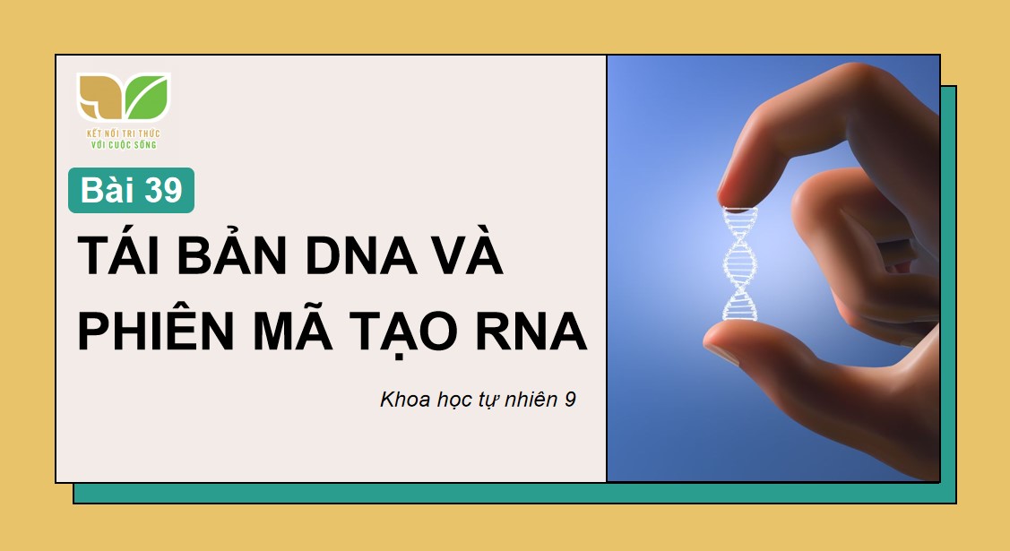 Bài giảng PowerPoint KHTN 9 Kết nối tri thức Bài 39