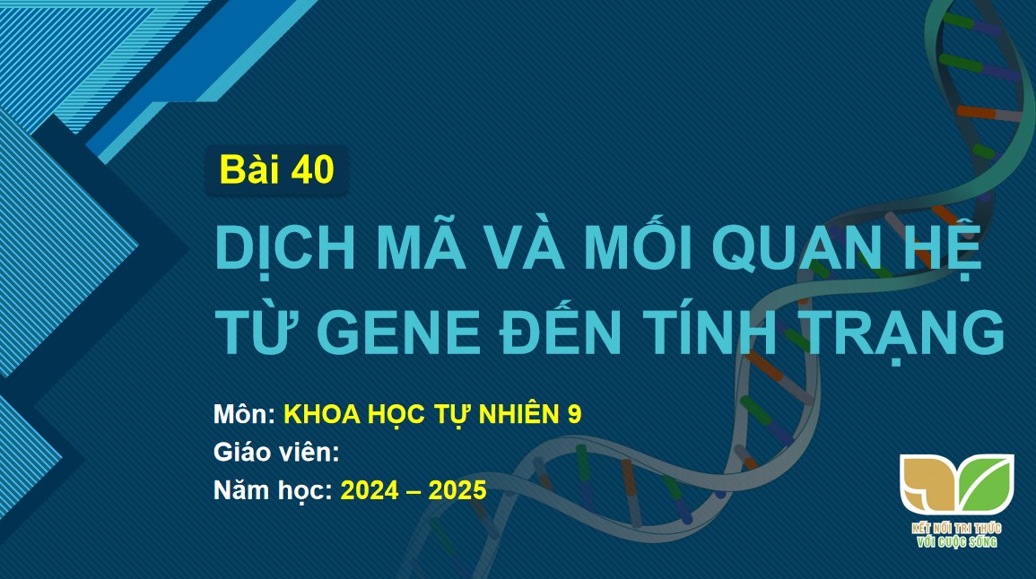 Bài giảng PowerPoint KHTN 9 Kết nối tri thức Bài 40