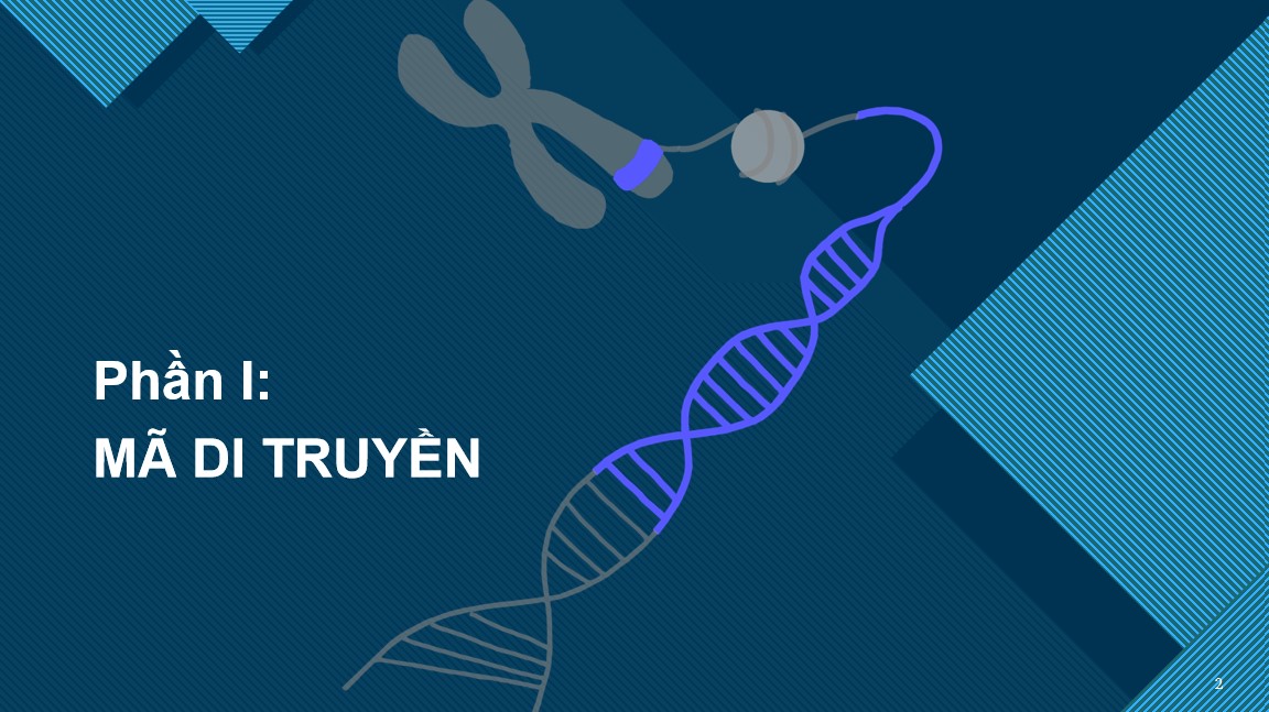 Bài giảng PowerPoint KHTN 9 Kết nối tri thức Bài 40