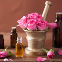 PowerPoint Công nghệ 4 Bài 1: Lợi ích của hoa và cây cảnh