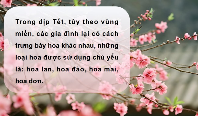 PowerPoint Công nghệ 4 Bài 2: Một số loại hoa phổ biến