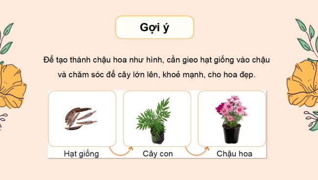 PowerPoint Công nghệ 4 Bài 5: Gieo hạt và trồng cây con trong chậu